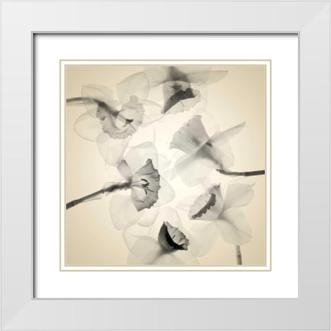 Bloom Collage White Modern Wood Framed Art Print with Double Matting by Stalus, Judy
