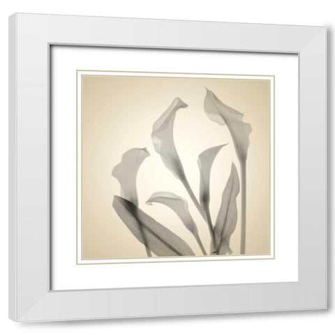 Daisy Duo White Modern Wood Framed Art Print with Double Matting by Stalus, Judy