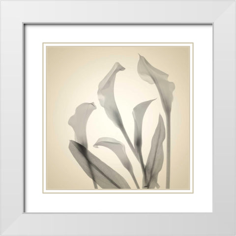 Daisy Duo White Modern Wood Framed Art Print with Double Matting by Stalus, Judy