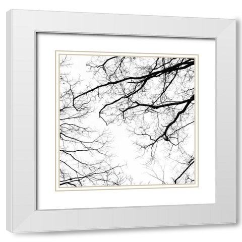 Billows III White Modern Wood Framed Art Print with Double Matting by Stalus, Judy