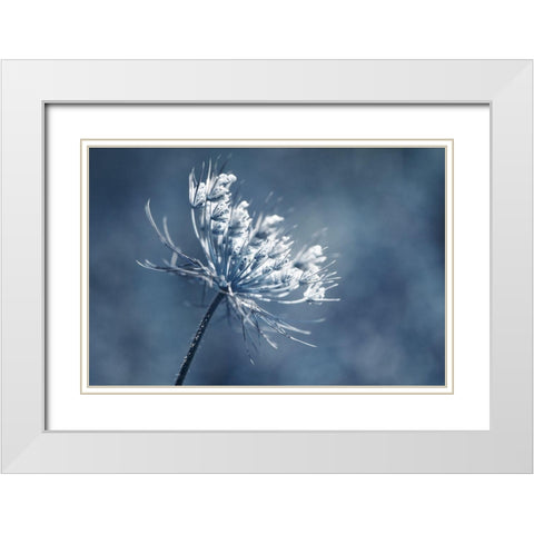 Queen Anne I  White Modern Wood Framed Art Print with Double Matting by Stalus, Judy