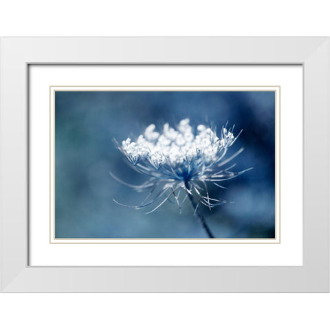 Queen Anne II White Modern Wood Framed Art Print with Double Matting by Stalus, Judy