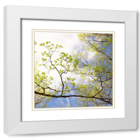 Spring Sky I White Modern Wood Framed Art Print with Double Matting by Stalus, Judy