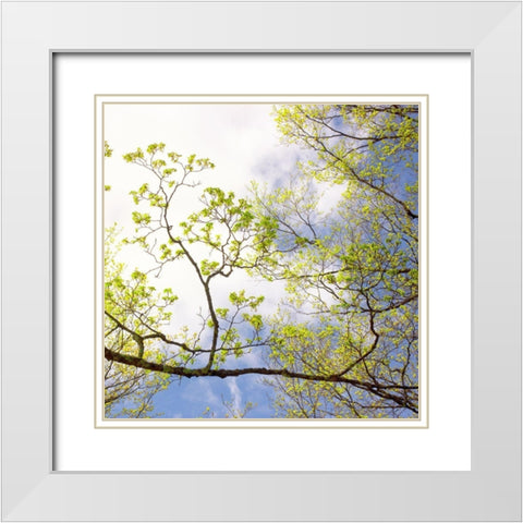 Spring Sky I White Modern Wood Framed Art Print with Double Matting by Stalus, Judy