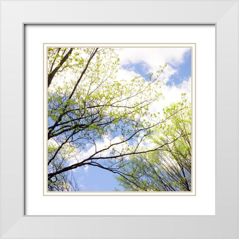 Spring Sky II White Modern Wood Framed Art Print with Double Matting by Stalus, Judy
