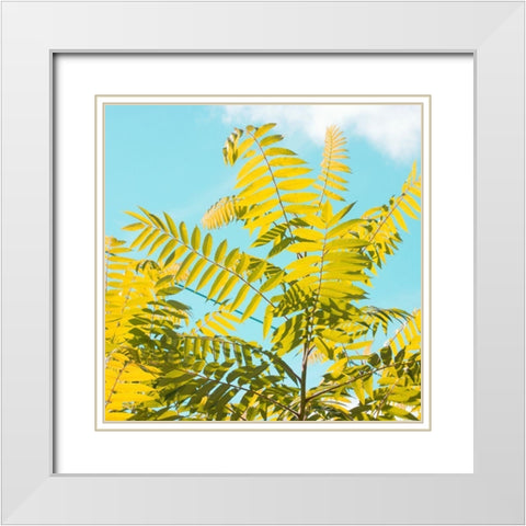 Tropical Breeze I  White Modern Wood Framed Art Print with Double Matting by Stalus, Judy