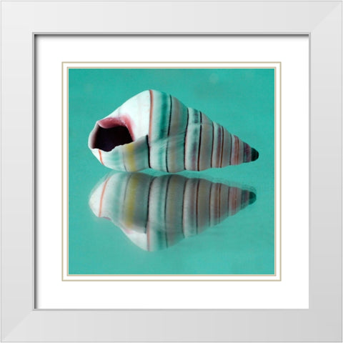 My Shadow I  White Modern Wood Framed Art Print with Double Matting by Stalus, Judt