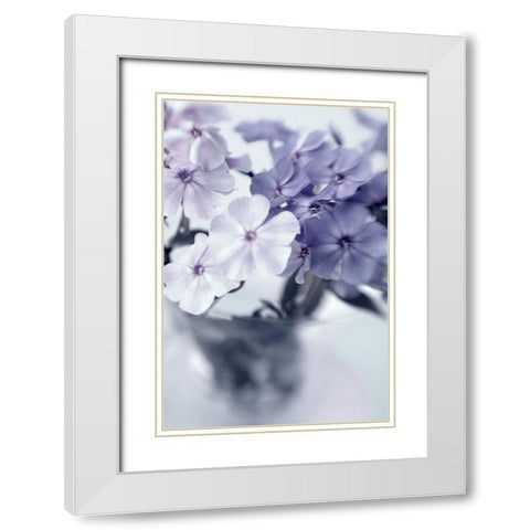 Violet Hydrangea  White Modern Wood Framed Art Print with Double Matting by Stalus, Judy