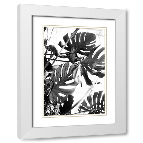 Tropical Leaves IIIÂ  White Modern Wood Framed Art Print with Double Matting by Stalus, Judy