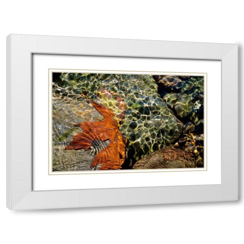 Carmanah Creek I White Modern Wood Framed Art Print with Double Matting by Friesen, Jeff