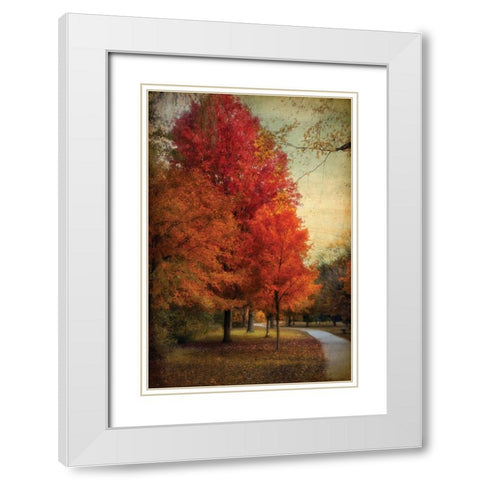 Among the Maples White Modern Wood Framed Art Print with Double Matting by Jenney, Jessica