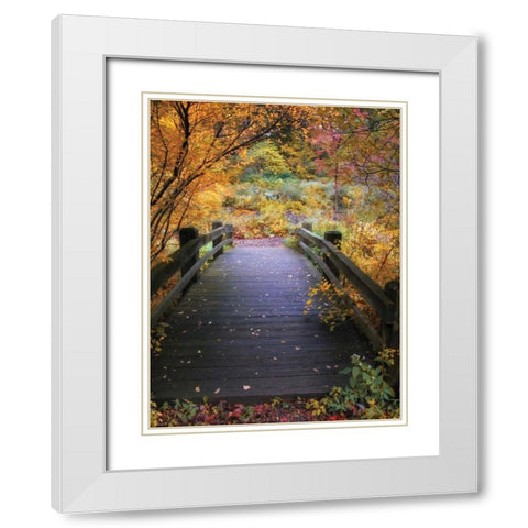 Bridge Over Shallow Water White Modern Wood Framed Art Print with Double Matting by Jenney, Jessica