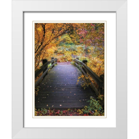Bridge Over Shallow Water White Modern Wood Framed Art Print with Double Matting by Jenney, Jessica