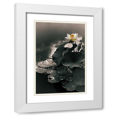 Lotus in the Mist White Modern Wood Framed Art Print with Double Matting by Jenney, Jessica