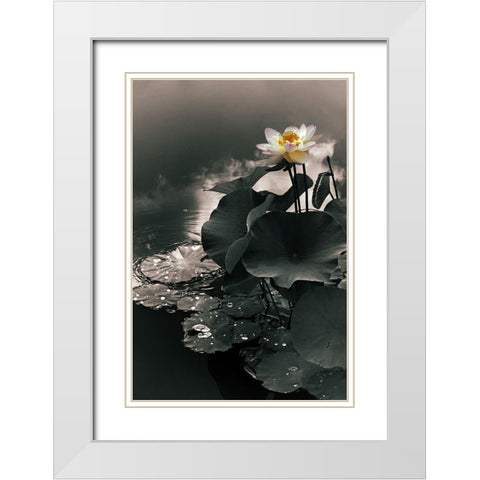 Lotus in the Mist White Modern Wood Framed Art Print with Double Matting by Jenney, Jessica