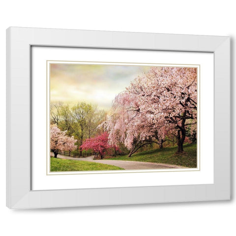 Asian Cherry Grove White Modern Wood Framed Art Print with Double Matting by Jenney, Jessica