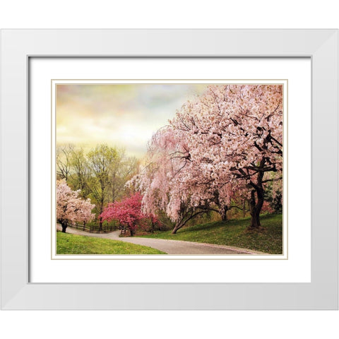 Asian Cherry Grove White Modern Wood Framed Art Print with Double Matting by Jenney, Jessica
