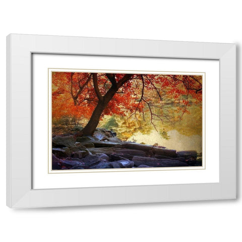 Under the Maple White Modern Wood Framed Art Print with Double Matting by Jenney, Jessica