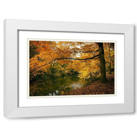 Autumn Gold White Modern Wood Framed Art Print with Double Matting by Jenney, Jessica