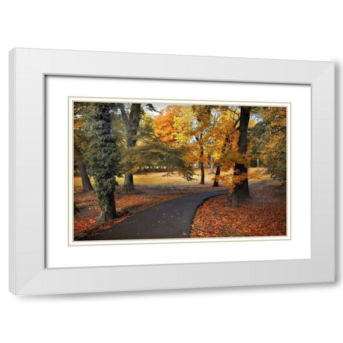 Entrance to Autumn White Modern Wood Framed Art Print with Double Matting by Jenney, Jessica