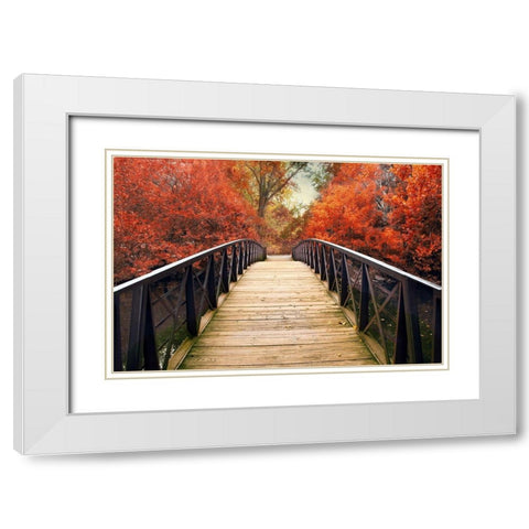 Ardent Autumn  White Modern Wood Framed Art Print with Double Matting by Jenney, Jessica