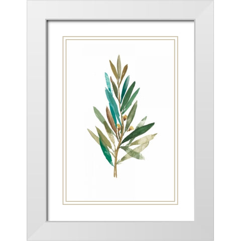 Olive III White Modern Wood Framed Art Print with Double Matting by Jensen, Asia