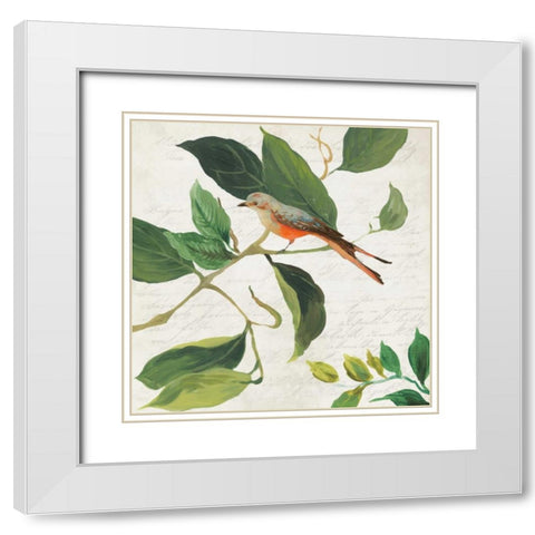 Singing Bird I White Modern Wood Framed Art Print with Double Matting by Jensen, Asia