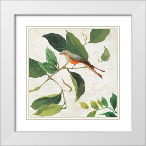 Singing Bird I White Modern Wood Framed Art Print with Double Matting by Jensen, Asia