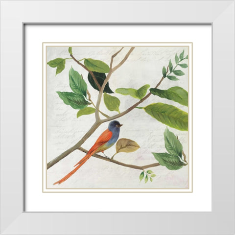 Singing Bird II White Modern Wood Framed Art Print with Double Matting by Jensen, Asia