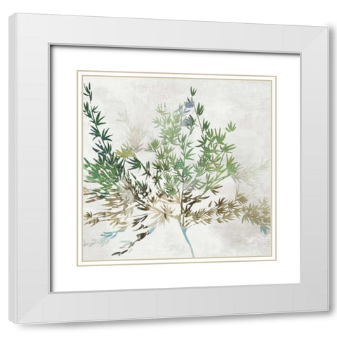 Olive Branch White Modern Wood Framed Art Print with Double Matting by Jensen, Asia