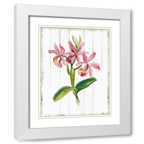 Sentimental Memories II White Modern Wood Framed Art Print with Double Matting by Jensen, Asia