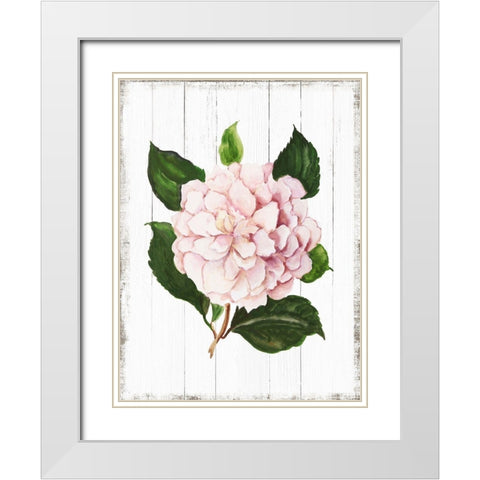 Sharing Memories I White Modern Wood Framed Art Print with Double Matting by Jensen, Asia