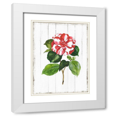 Sharing Memories II White Modern Wood Framed Art Print with Double Matting by Jensen, Asia