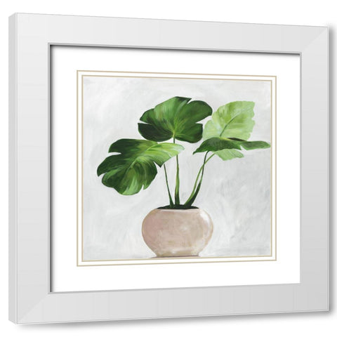 Potted Green Leaves  White Modern Wood Framed Art Print with Double Matting by Jensen, Asia