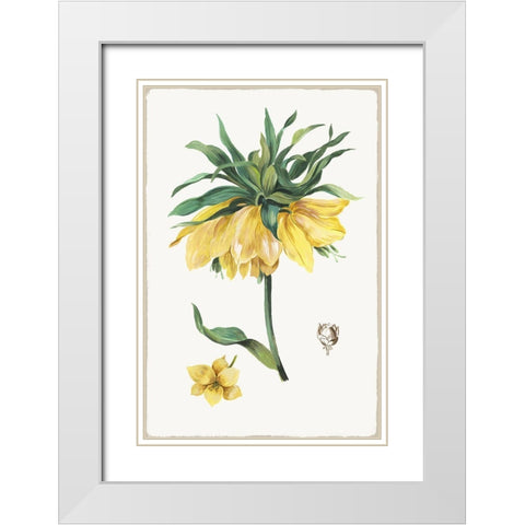 New Botana I  White Modern Wood Framed Art Print with Double Matting by Jensen, Asia