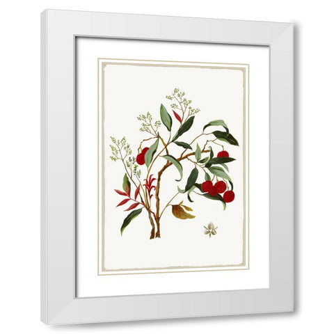 New Botana II  White Modern Wood Framed Art Print with Double Matting by Jensen, Asia