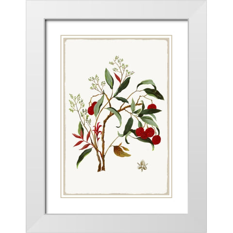 New Botana II  White Modern Wood Framed Art Print with Double Matting by Jensen, Asia