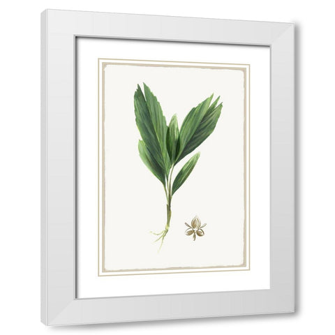 New Botana IV White Modern Wood Framed Art Print with Double Matting by Jensen, Asia