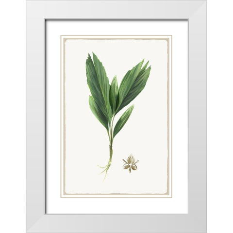 New Botana IV White Modern Wood Framed Art Print with Double Matting by Jensen, Asia