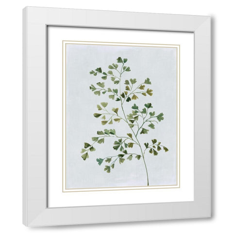 Green Fern II  White Modern Wood Framed Art Print with Double Matting by Jensen, Asia