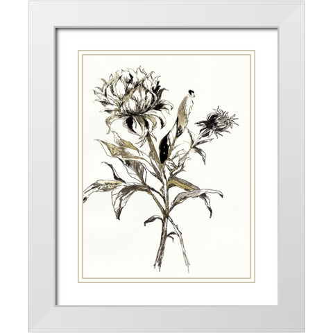 Botanical Seed I White Modern Wood Framed Art Print with Double Matting by Jensen, Asia