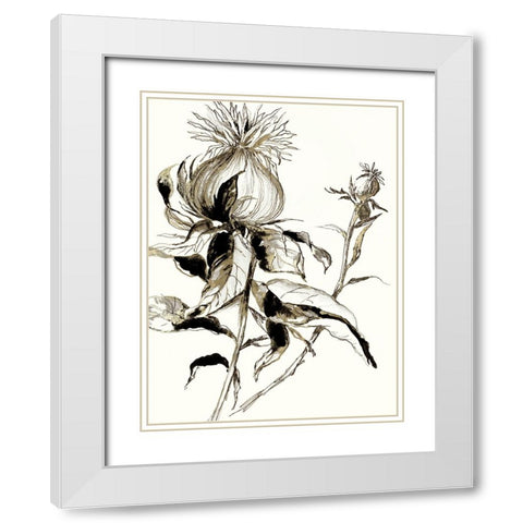 Botanical Seed II White Modern Wood Framed Art Print with Double Matting by Jensen, Asia
