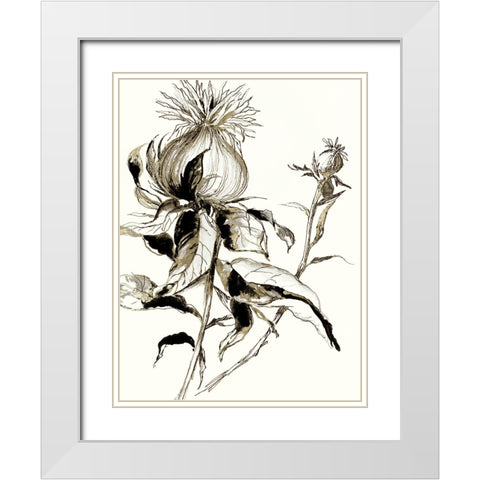 Botanical Seed II White Modern Wood Framed Art Print with Double Matting by Jensen, Asia