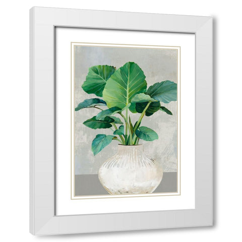 Indoor Plants II White Modern Wood Framed Art Print with Double Matting by Jensen, Asia