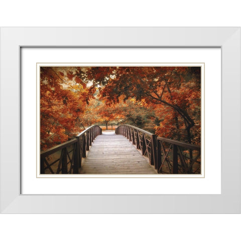 Footbridge White Modern Wood Framed Art Print with Double Matting by Jenney, Jessica