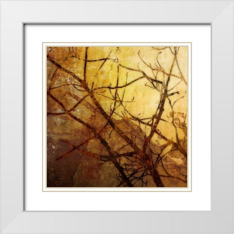 Ombre Branches I White Modern Wood Framed Art Print with Double Matting by McMasters, James