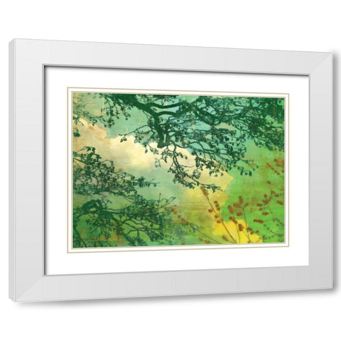 Branches and Clouds White Modern Wood Framed Art Print with Double Matting by McMasters, James