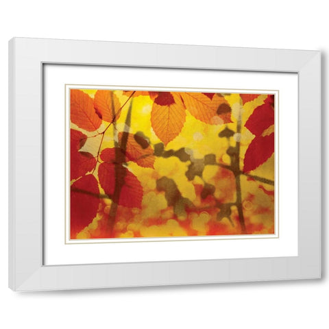Golden Foliage White Modern Wood Framed Art Print with Double Matting by McMasters, James