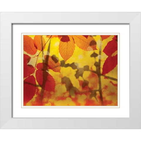 Golden Foliage White Modern Wood Framed Art Print with Double Matting by McMasters, James