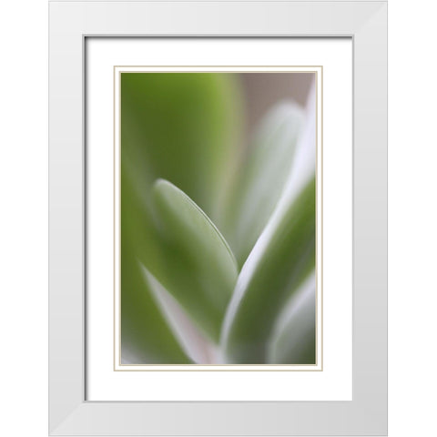 Flow White Modern Wood Framed Art Print with Double Matting by JUSTART